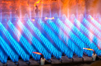 Elkington gas fired boilers